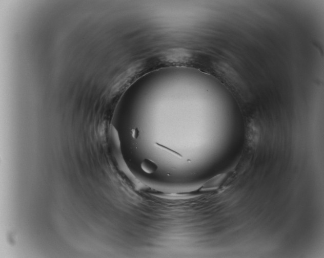 X0000099530428200805231106