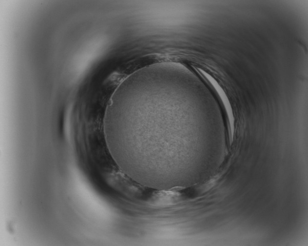X0000099530429200805231106