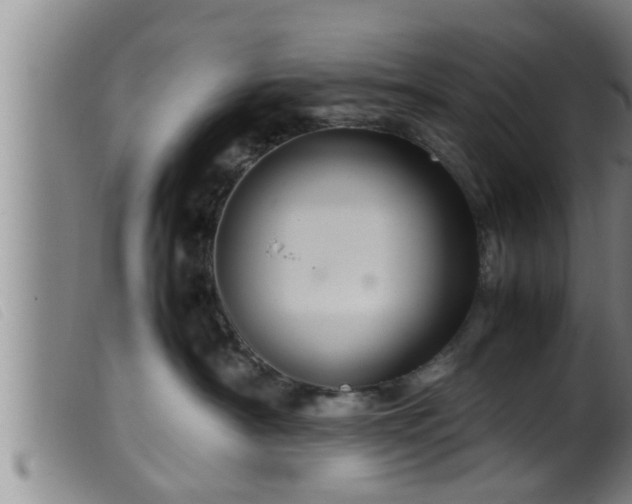 X0000099530430200805231106