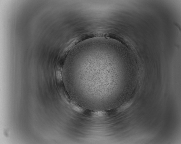 X0000099530432200805231106