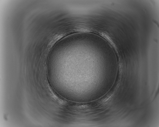 X0000099530433200805231106