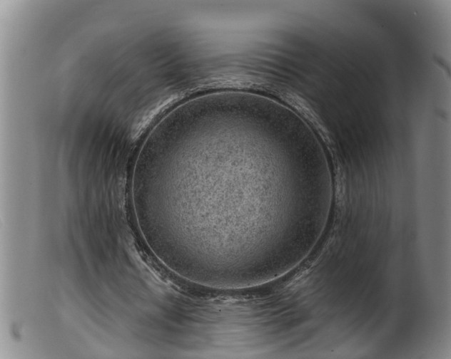 X0000099530434200805231106