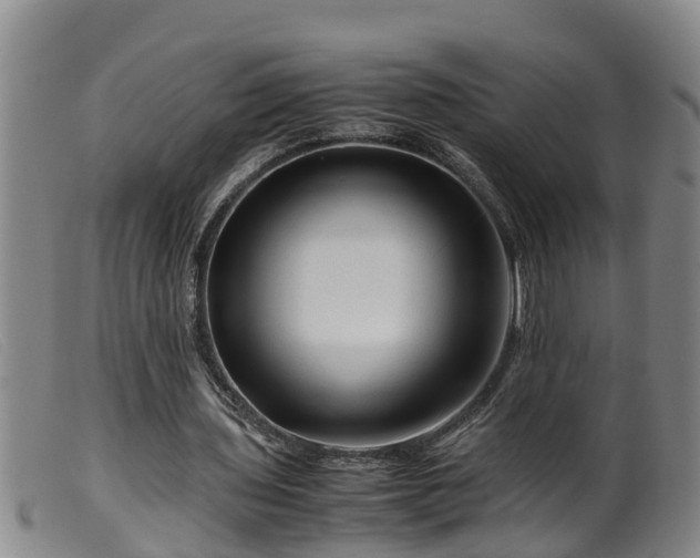 X0000099530435200805231106