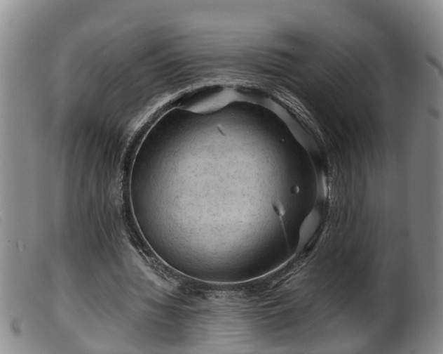 X0000099530436200805231106