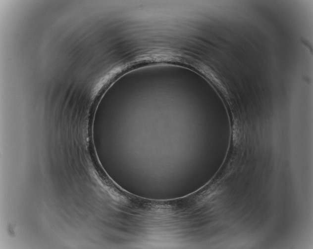X0000099530438200805231106