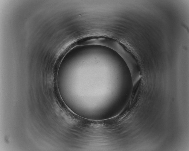 X0000099530440200805231106