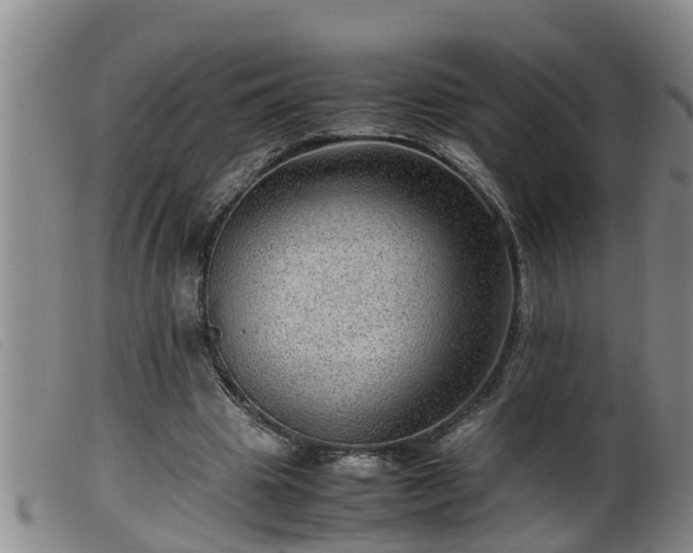 X0000099530441200805231106