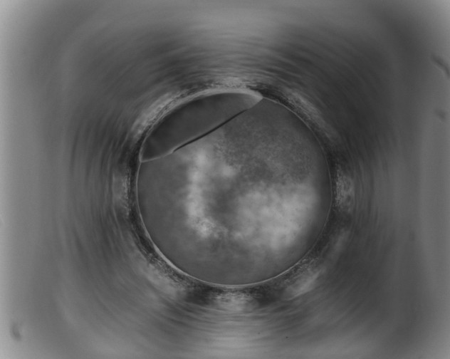 X0000099530444200805231106