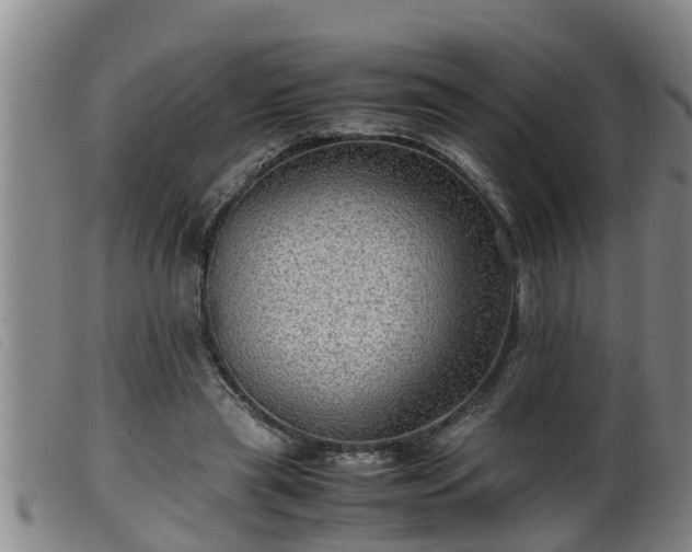 X0000099530445200805231106