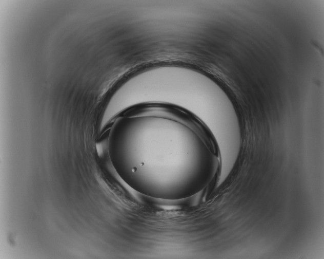 X0000099530448200805231106