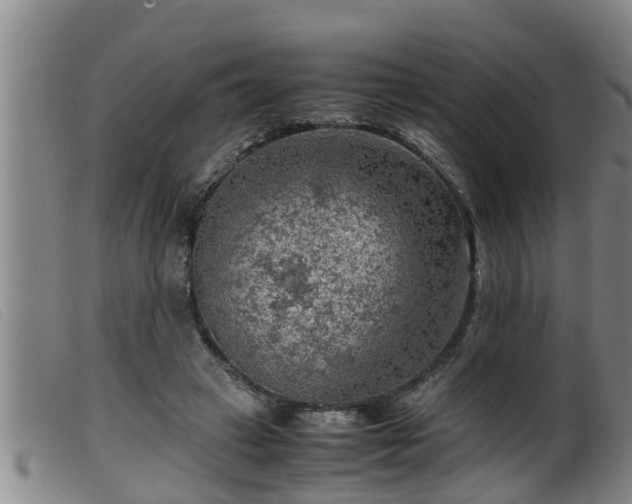 X0000099530449200805231106