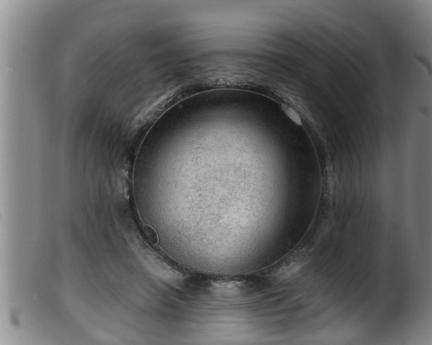 X0000099530450200805231106