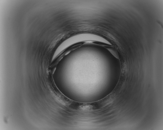 X0000099530452200805231106