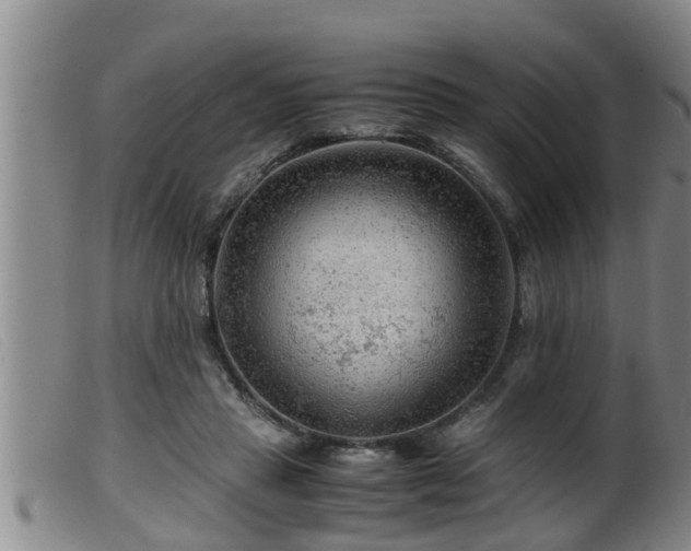 X0000099530453200805231106
