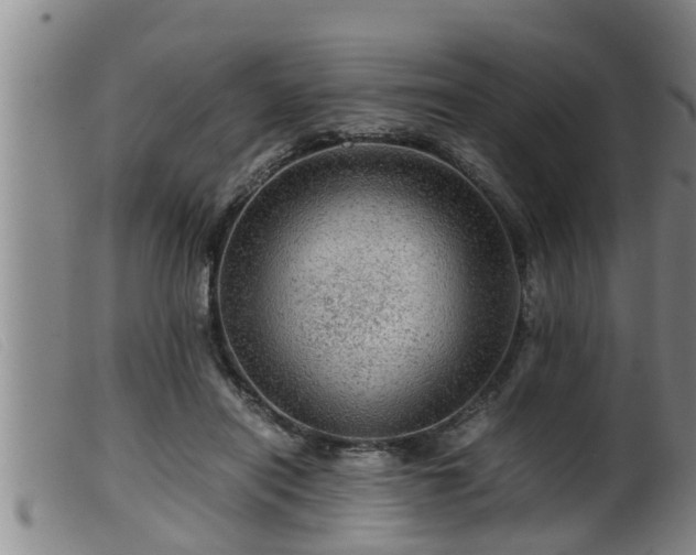 X0000099530454200805231106