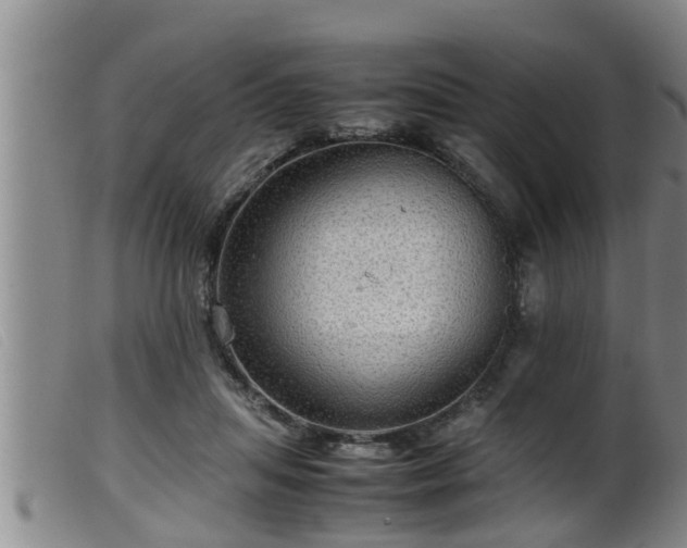 X0000099530455200805231106