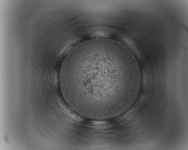 X0000099530457200805231106