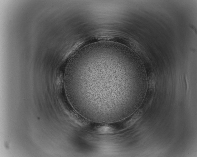 X0000099530460200805231106