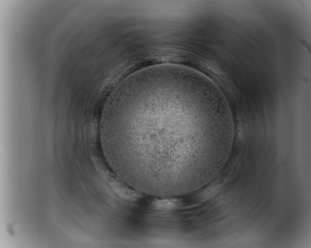 X0000099530461200805231106
