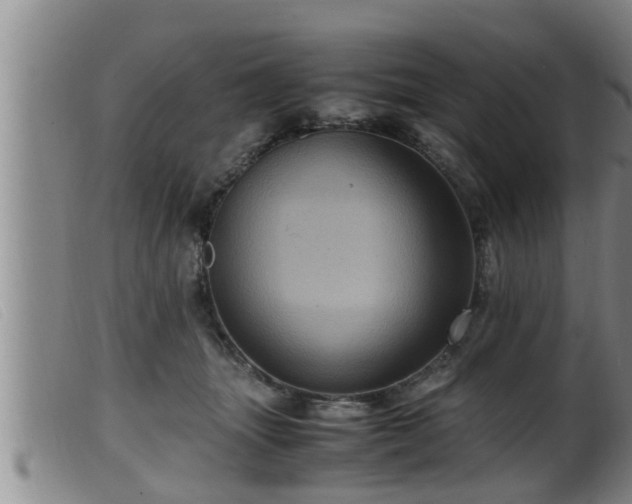 X0000099530463200805231106