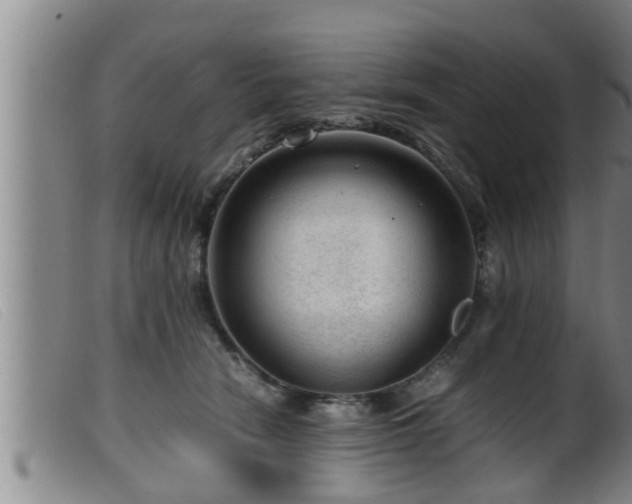 X0000099530466200805231106