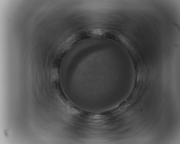 X0000099530467200805231106