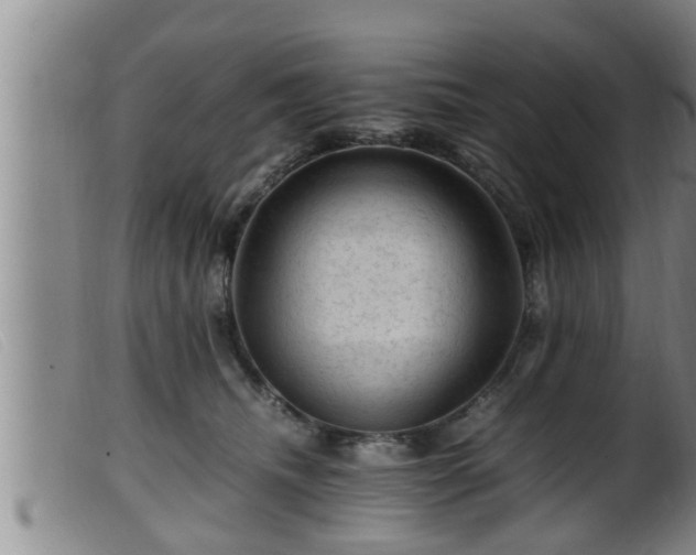 X0000099530468200805231106