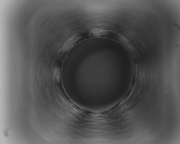 X0000099530471200805231106