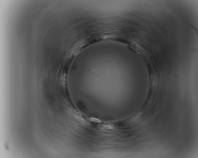 X0000099530475200805231106