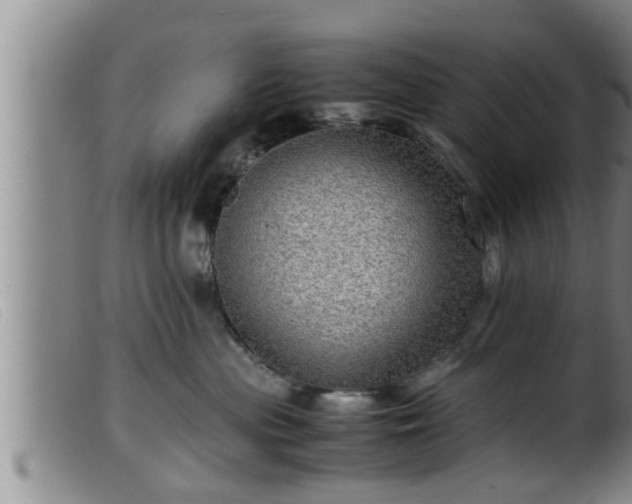 X0000099530477200805231106