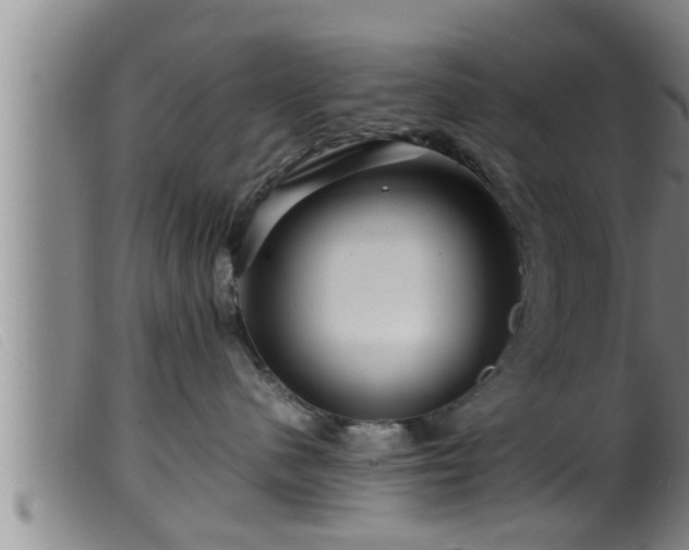 X0000099530480200805231106