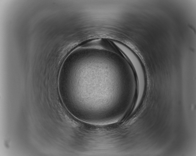 X0000099530481200805231106