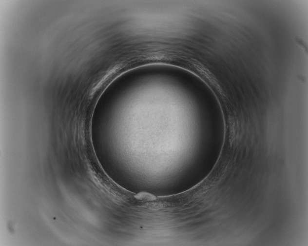 X0000099530482200805231106