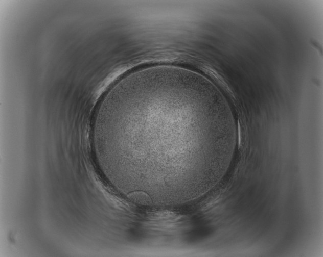X0000099530483200805231106
