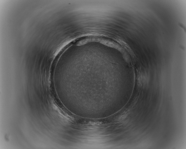X0000099530484200805231106