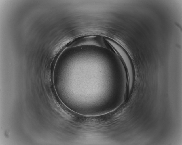 X0000099530485200805231106