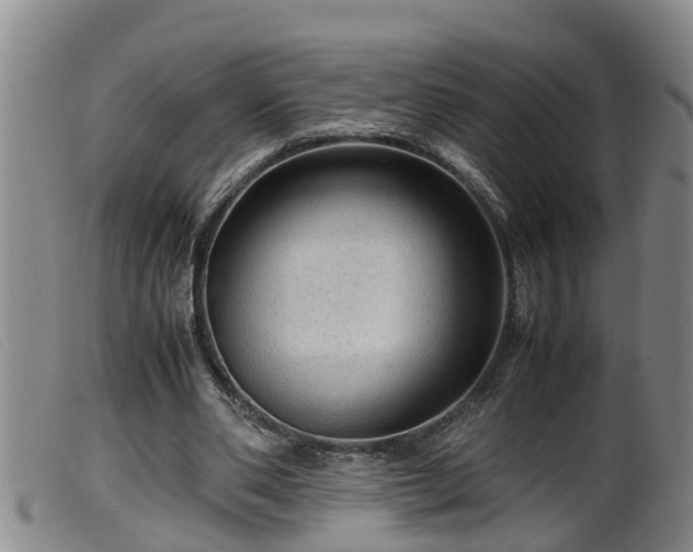 X0000099530486200805231106