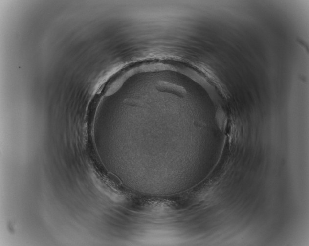 X0000099530488200805231106