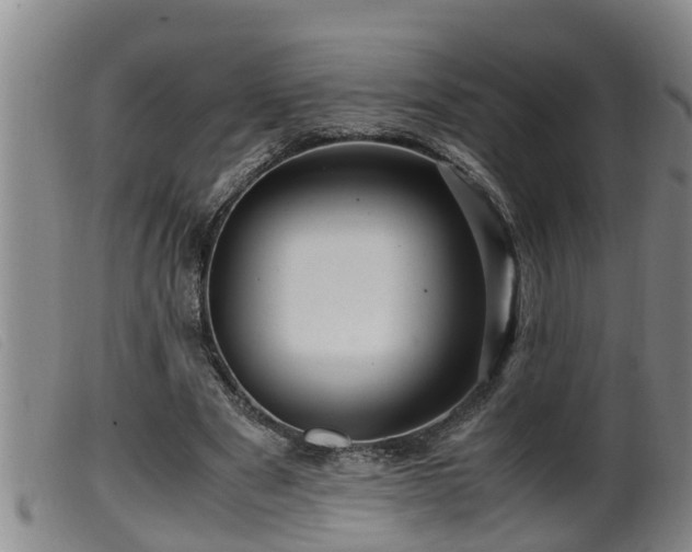 X0000099530489200805231105