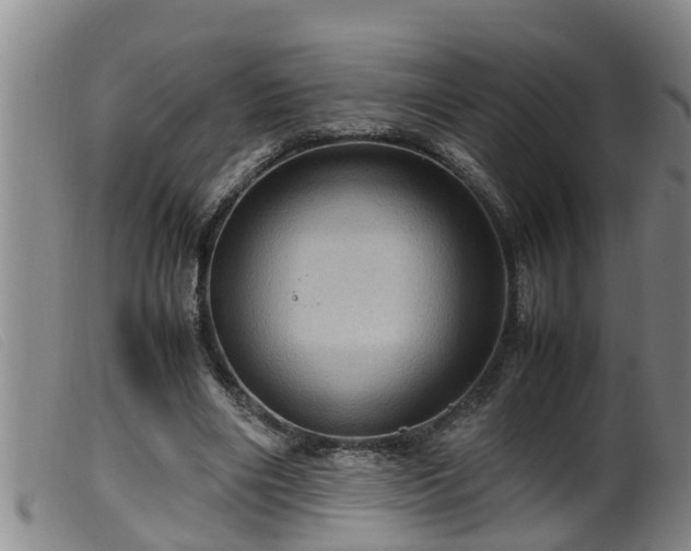 X0000099530490200805231105