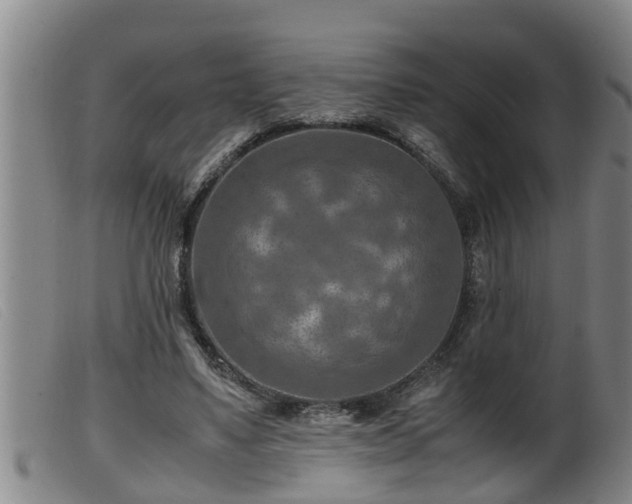 X0000099530491200805231105