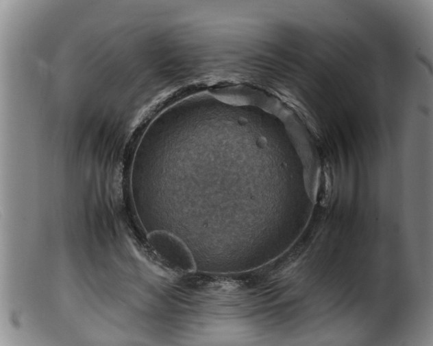 X0000099530492200805231105