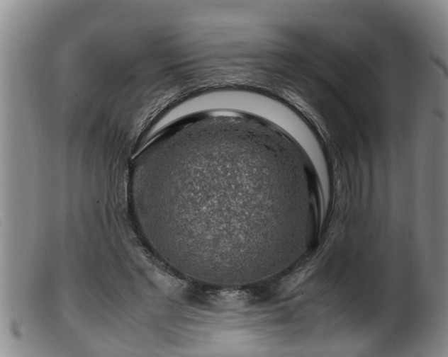 X0000099530493200805231105