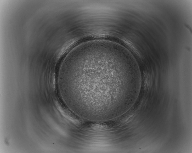 X0000099530494200805231105