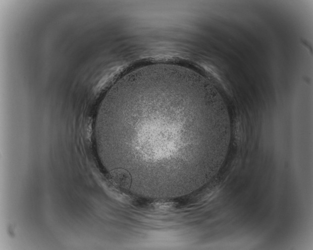 X0000099530495200805231105