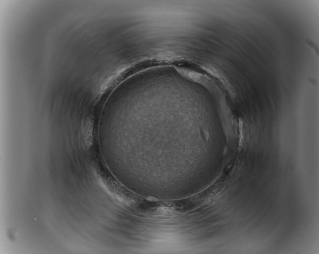 X0000099530496200805231105