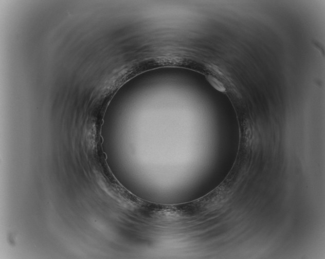 X0000099530498200805231105