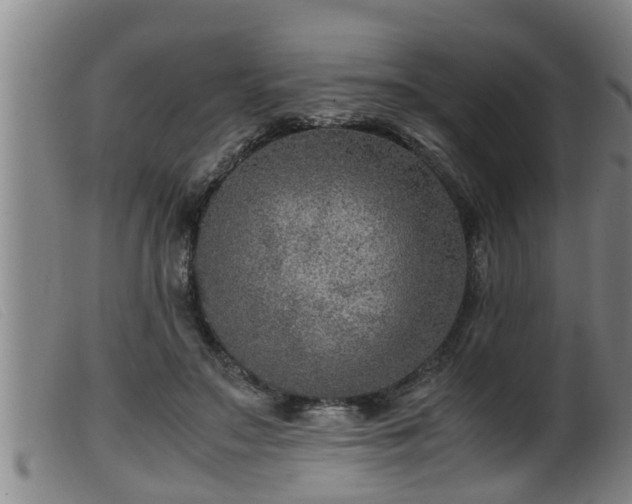 X0000099530499200805231105