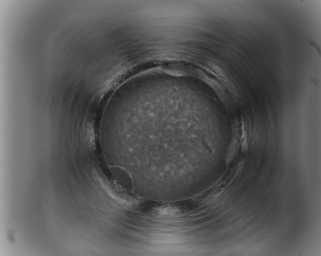 X0000099530500200805231105