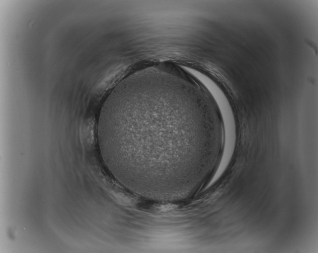 X0000099530501200805231105